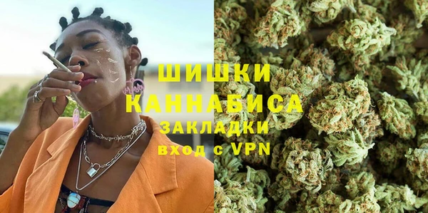 твердый Алзамай