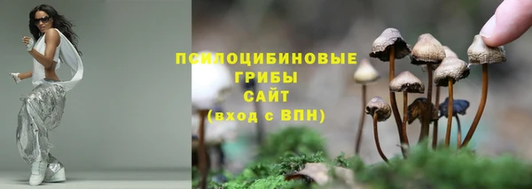 твердый Алзамай