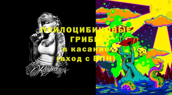 герыч Алексин
