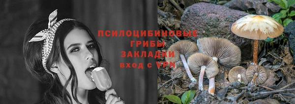 герыч Алексин