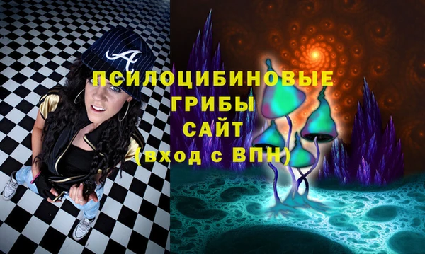 ALPHA-PVP Алексеевка