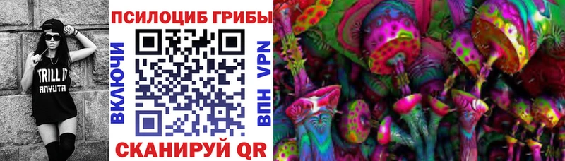 где можно купить Черноголовка Галлюциногенные грибы прущие грибы